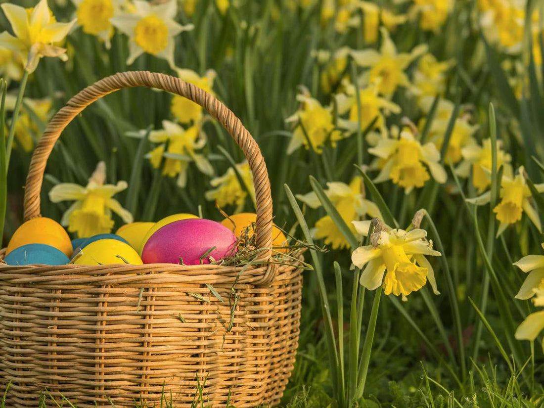 Easter Traditions of Gifting: How to Celebrate with Thoughtful Gifts